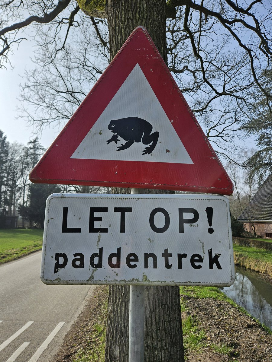 Matthieu 💫bdeijn tweet media