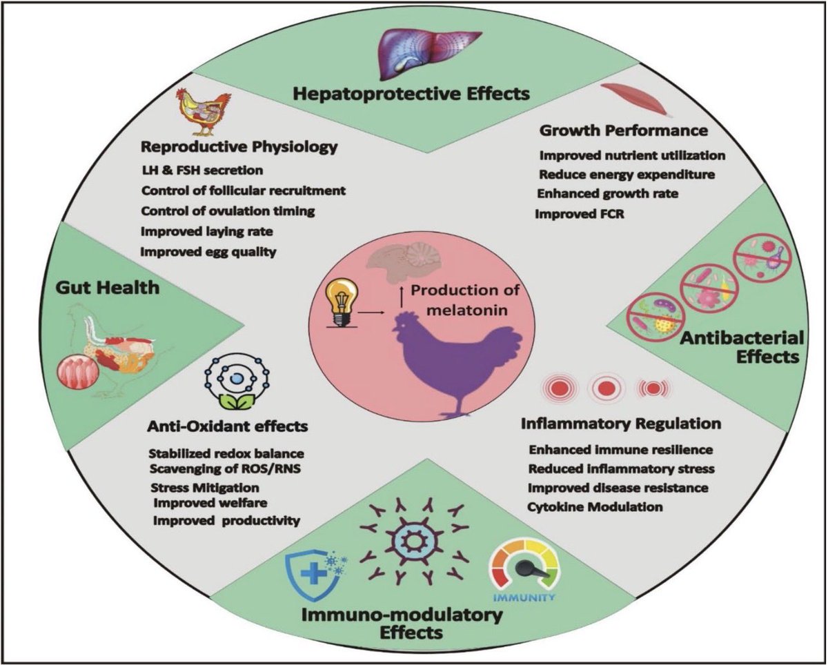 Mohamed Abdel-Daim tweet media