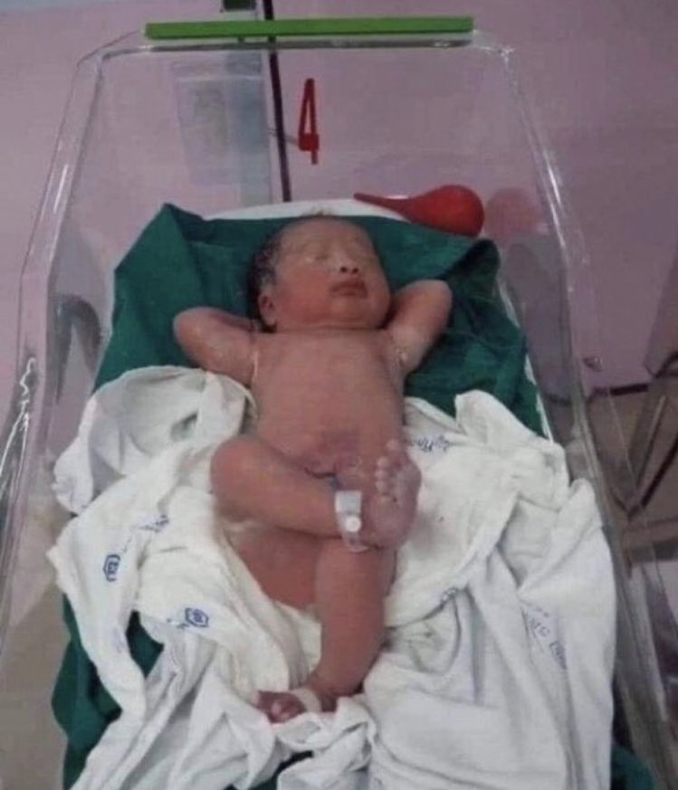 The Best tweet media