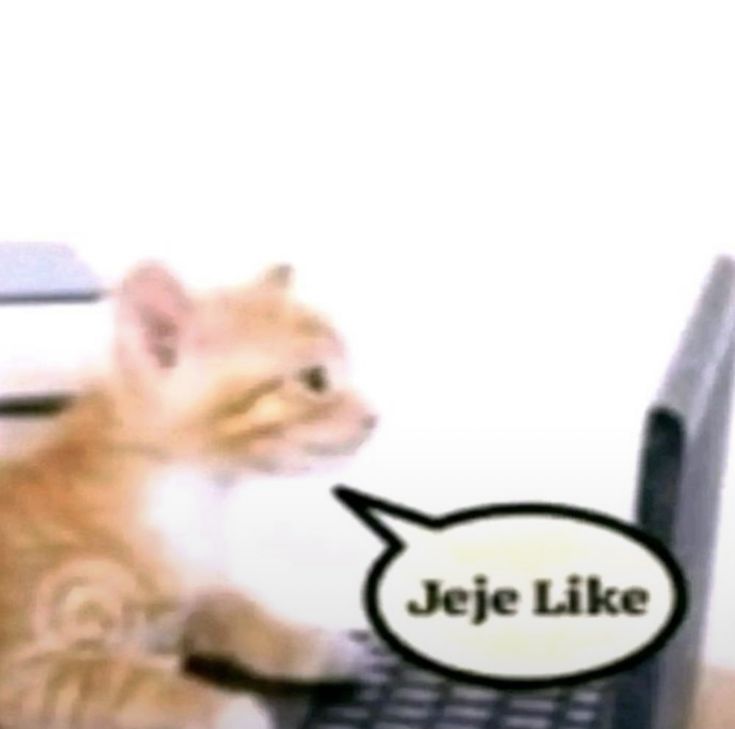 el weon awueonado tweet media