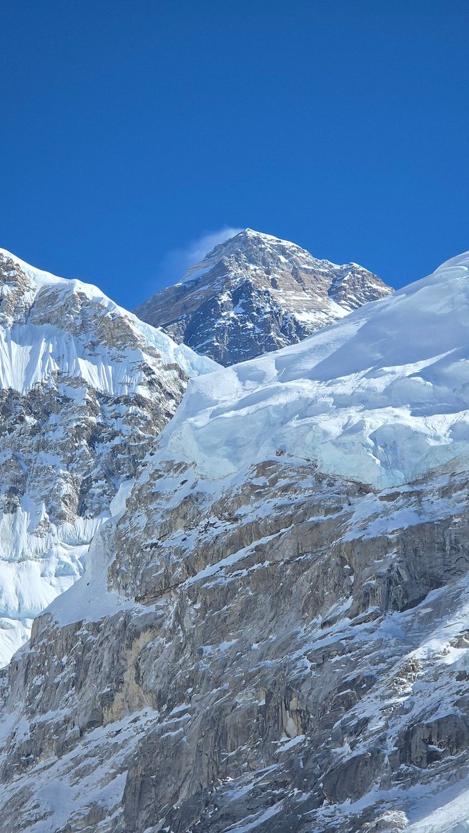 T𝖊xt Mo tweet media