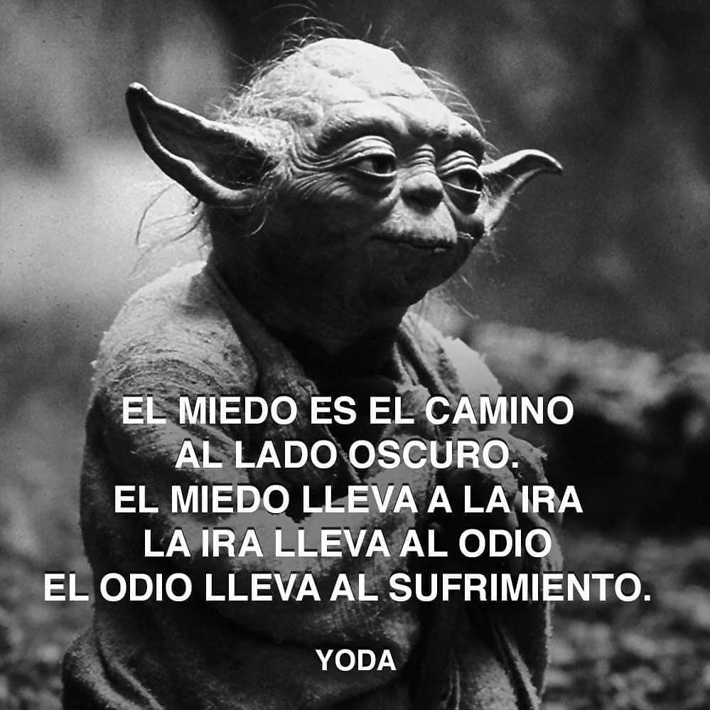 RodriGo Andrade D. tweet media