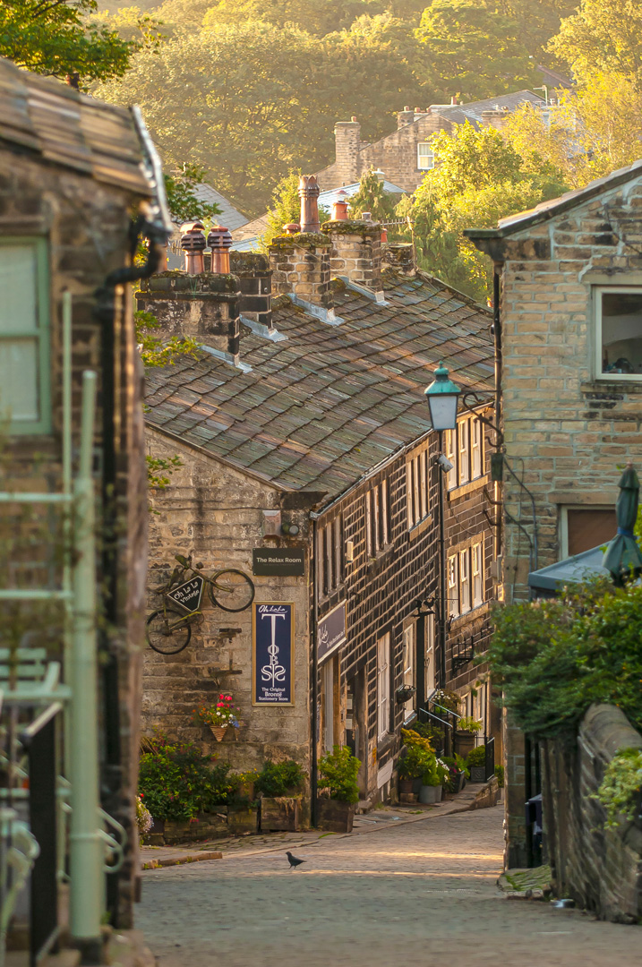 Brontë Country Landscapes tweet media