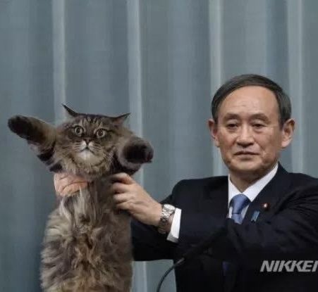 <a href="/Money_tweet1118/">炭鉱のマネツイ</a> この方が新しい総理です😁