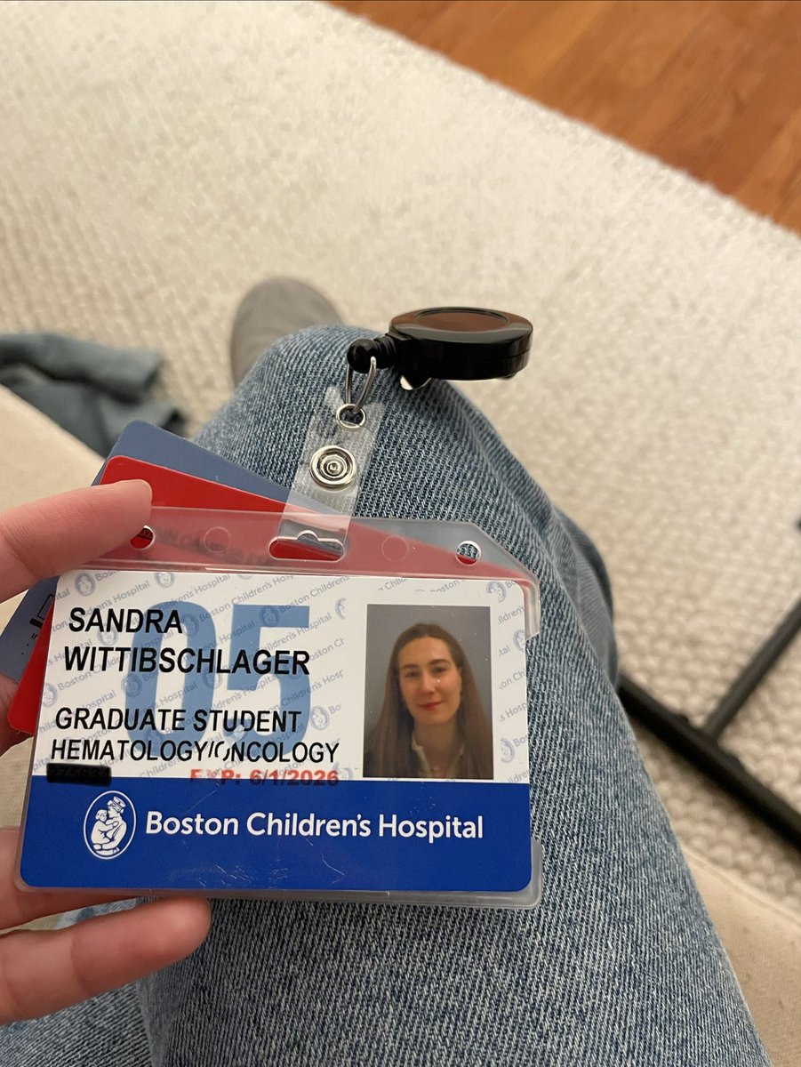 Sandra Wittibschlager tweet media