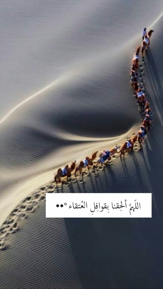 Al_a99al's tweet photo. https://t.co/jXaSeFk8dP