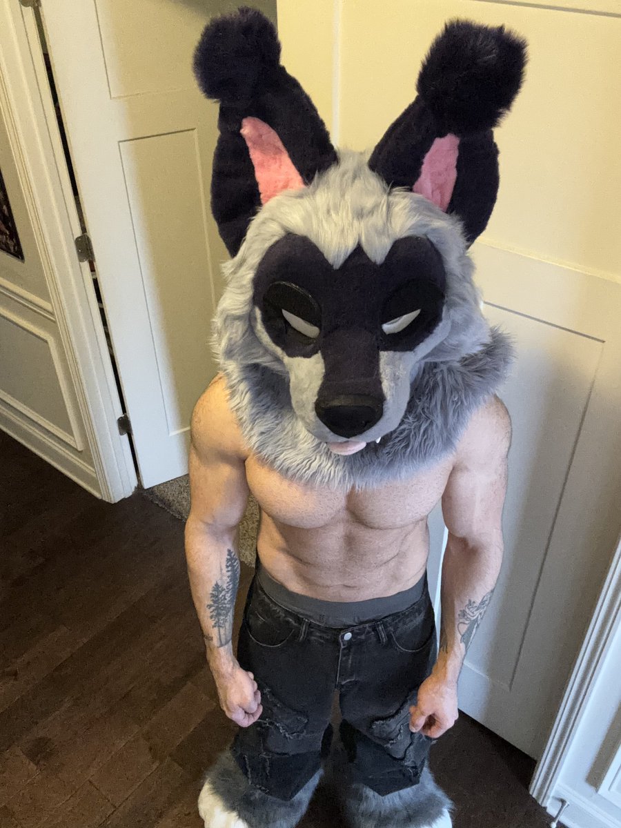 Aries 🔜 FWA tweet media