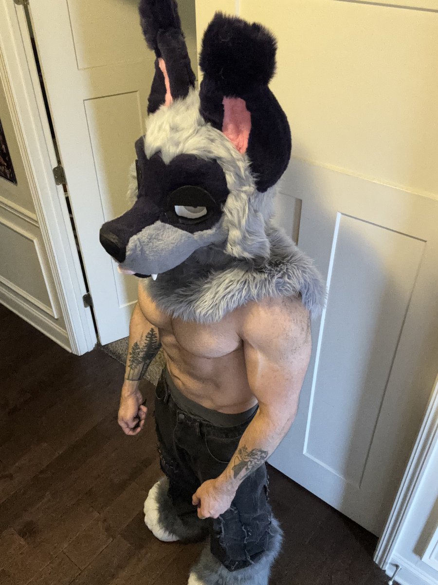 Aries 🔜 FWA tweet media