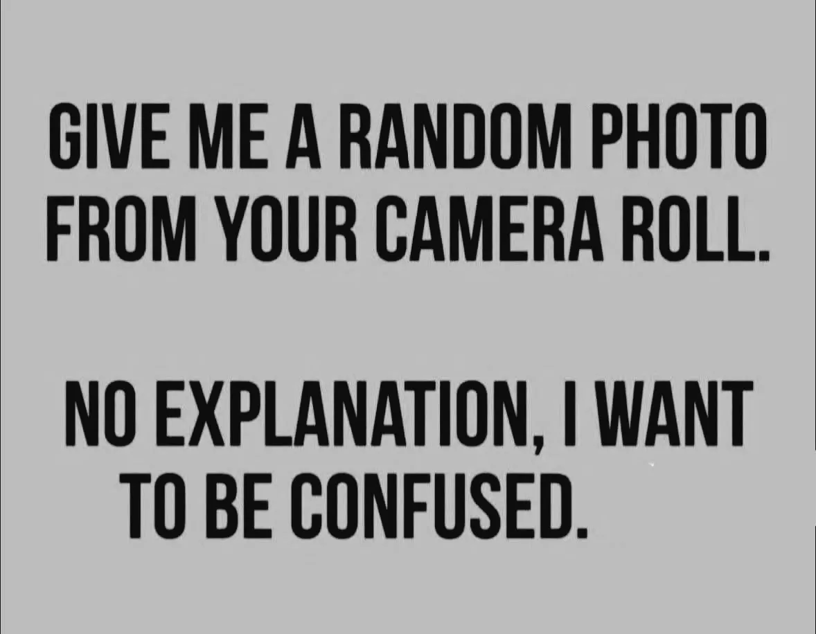 Ramin Nasibov tweet media