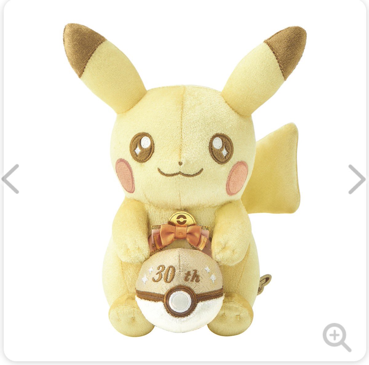 ポケカ引退品＆限定ぬいぐるみ ✓ポケモンセンターオンライン こちらも本日の10:00より販売開始になり