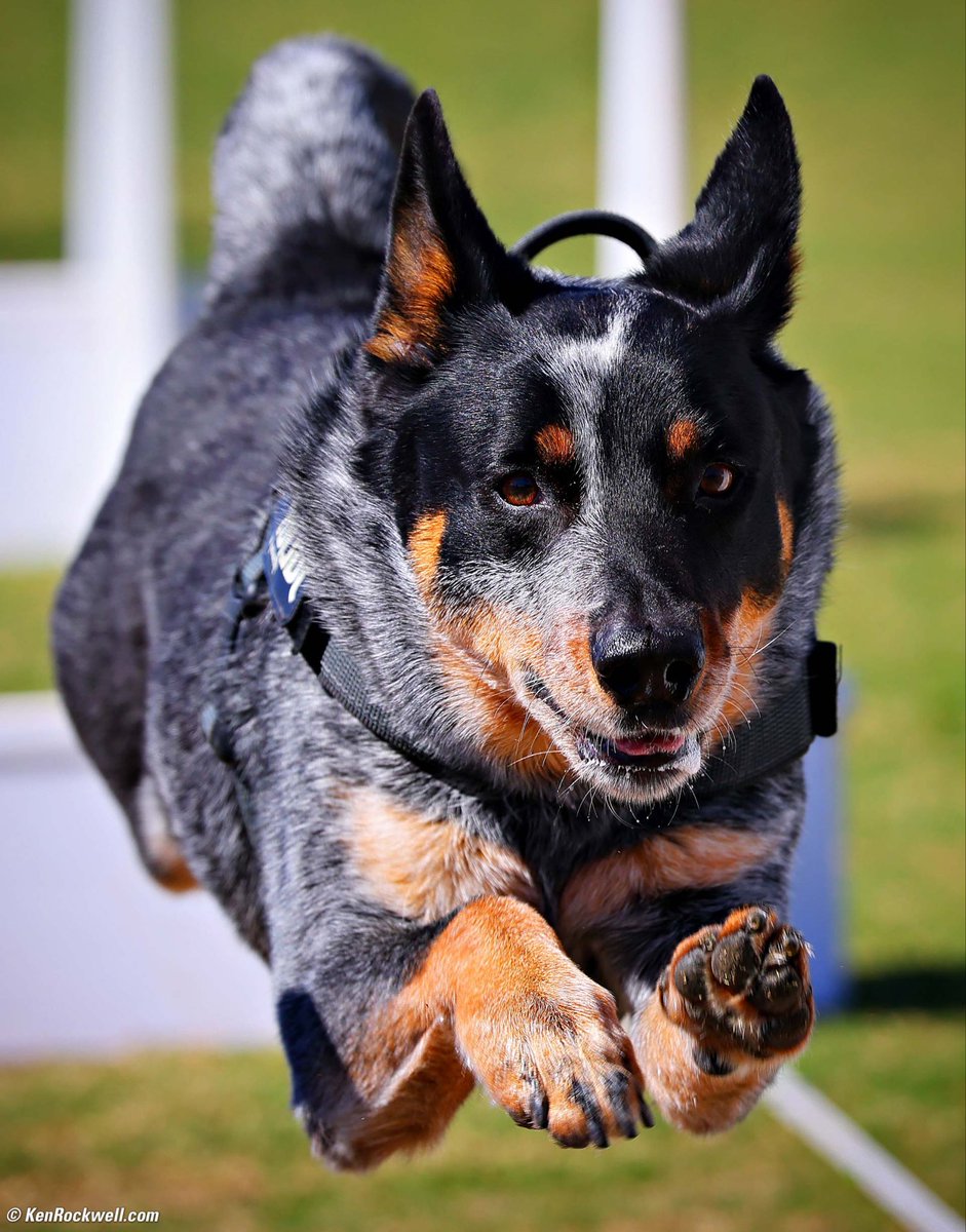 Ken Rockwell tweet media