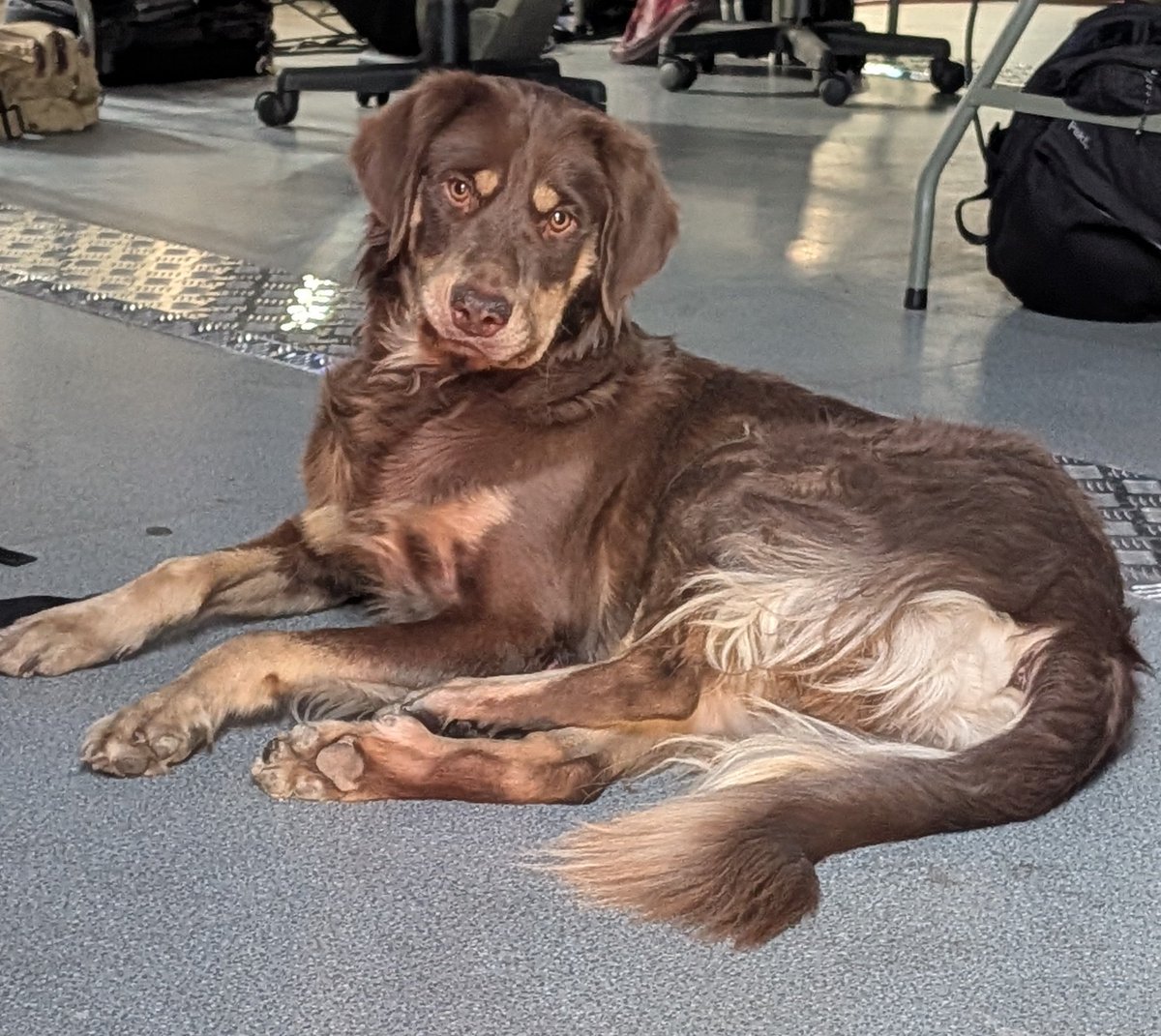 sapphiRe tweet media