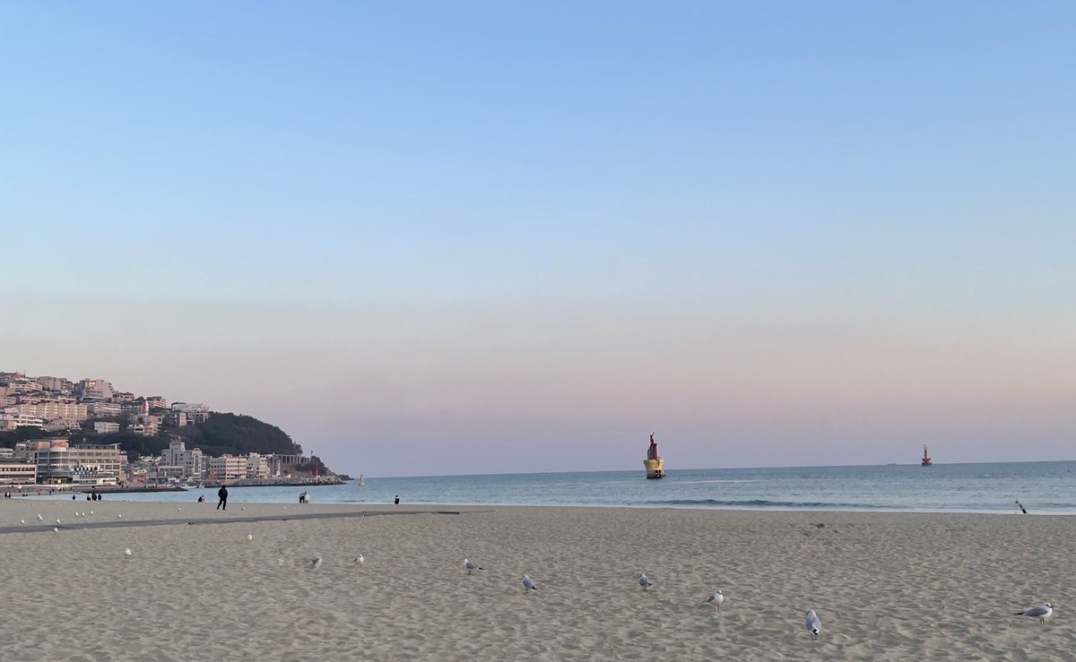 월요일 아침입니다☀️
탁 트인 바다 보면서 이번 주도 같이 힘내봐요! 모두 오늘 하루 기분 좋게 시작하시길! ✨