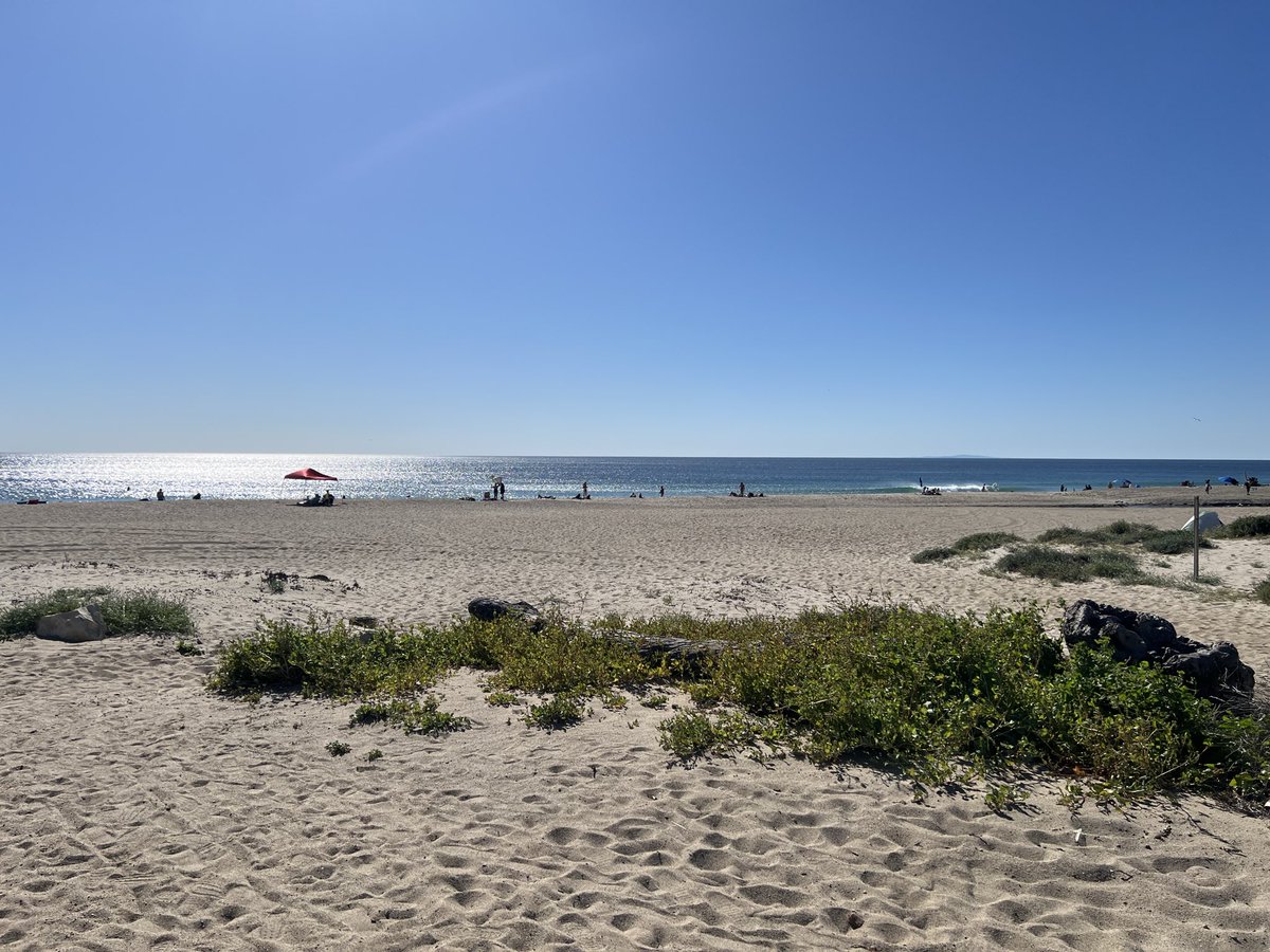 Editor Sean tweet media