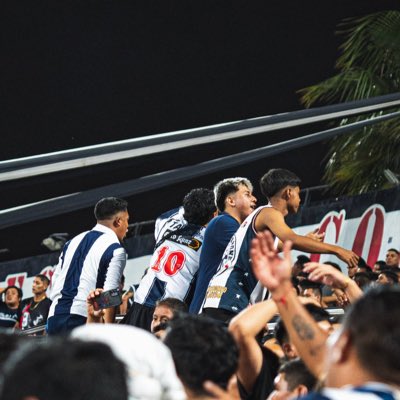 Sandro tweet media