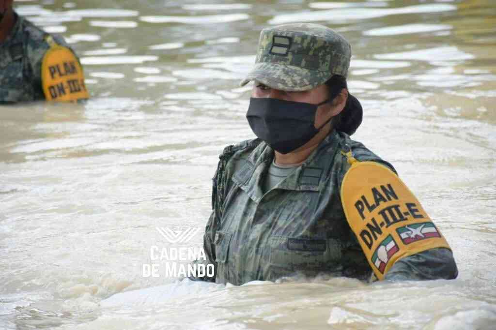 cadenademando's tweet photo. Hoy reconocemos a las mujeres que luchan, trabajan y sirven todos los días.

En México, miles también lo hacen desde el Ejército, la Marina, la Fuerza Aérea y la Guardia Nacional.

🇲🇽 Honor a las mujeres de México. 🫡
Todas ellas son de fibra. 
¡#FibraMujeresValientes!

#8Marzo https://t.co/mNyXH8sfvZ