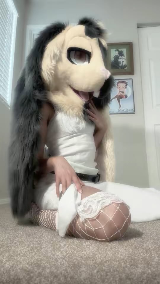 𝕭𝖎𝖓𝖌𝖔 tweet media