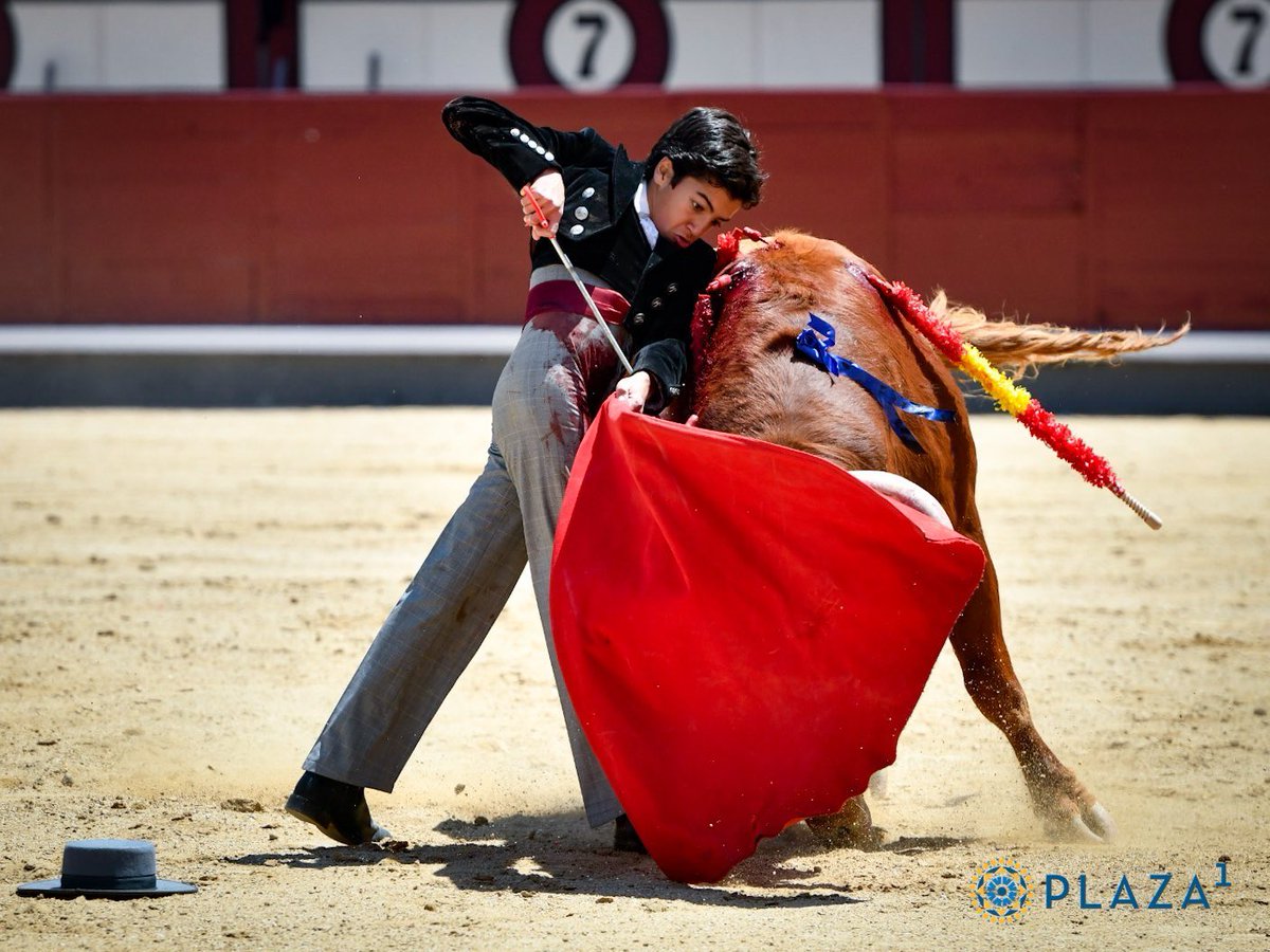 pero esto te parecerá genial imagino no????