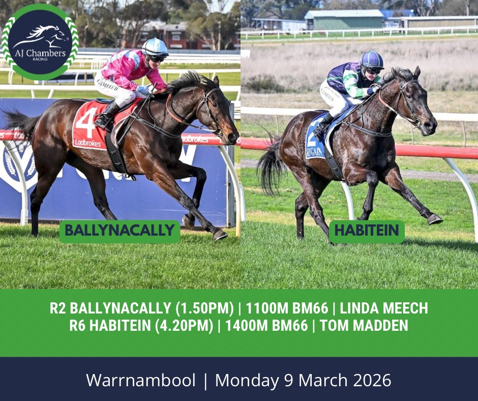 AJ Chambers Racing tweet media