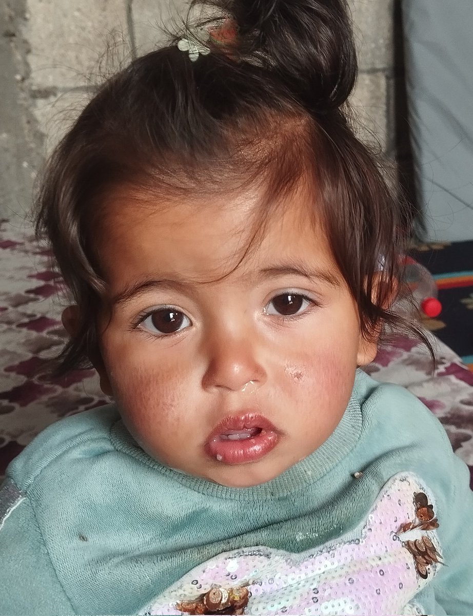 mhamed Ali tweet media