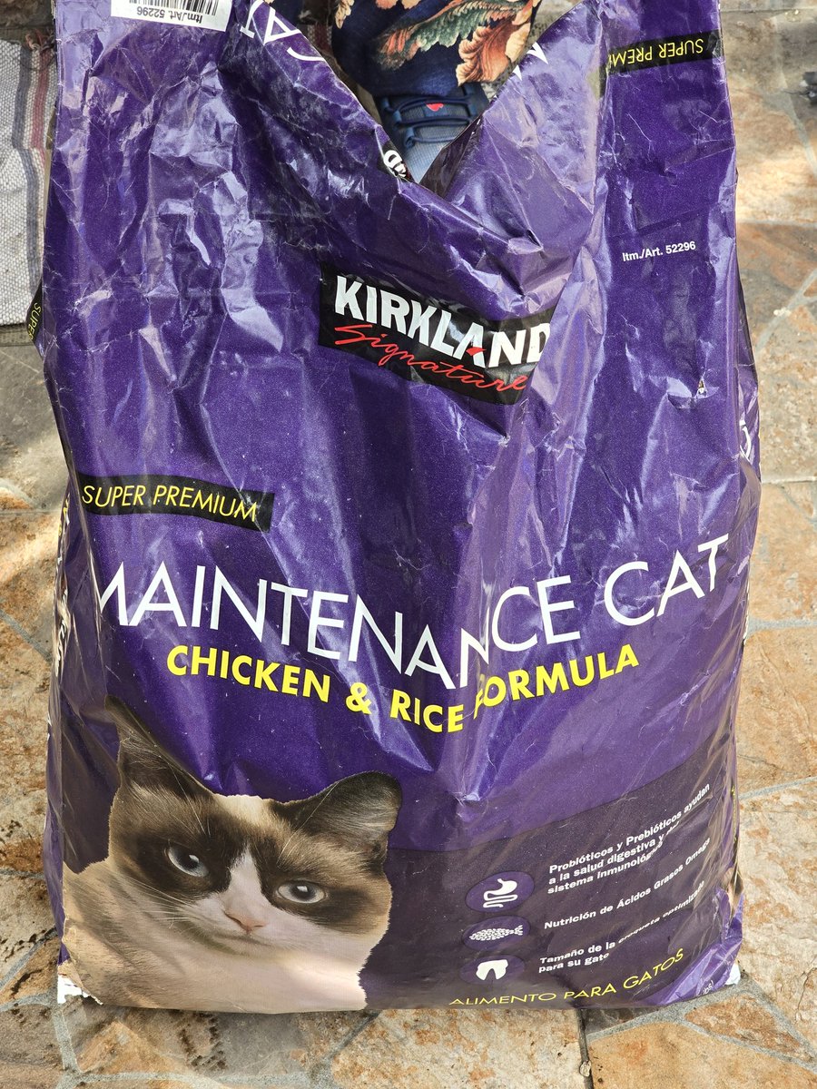 🐾🐾Gatitos a salvo🐾🐾 tweet media