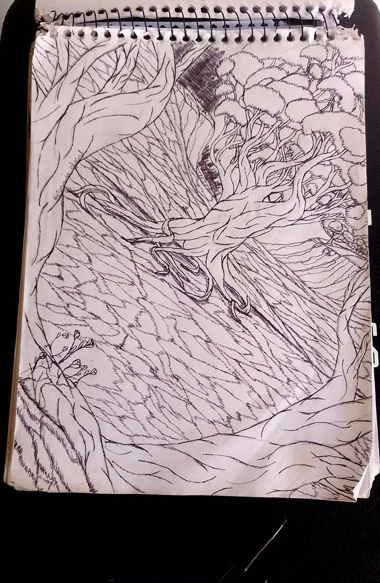 OZMIR_OFICIAL's tweet photo. Oi tô só passando aqui só pra mostrar um de meu simples desenho.
Este desenho e uma paisagem de uma área emtre 2 florestas diferentes com uma árvore no meio.
#Drawing #Drawingonpaper https://t.co/klbk0exlh0