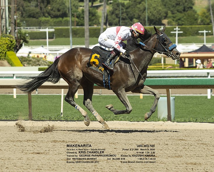 George Papaprodromou Racing tweet media