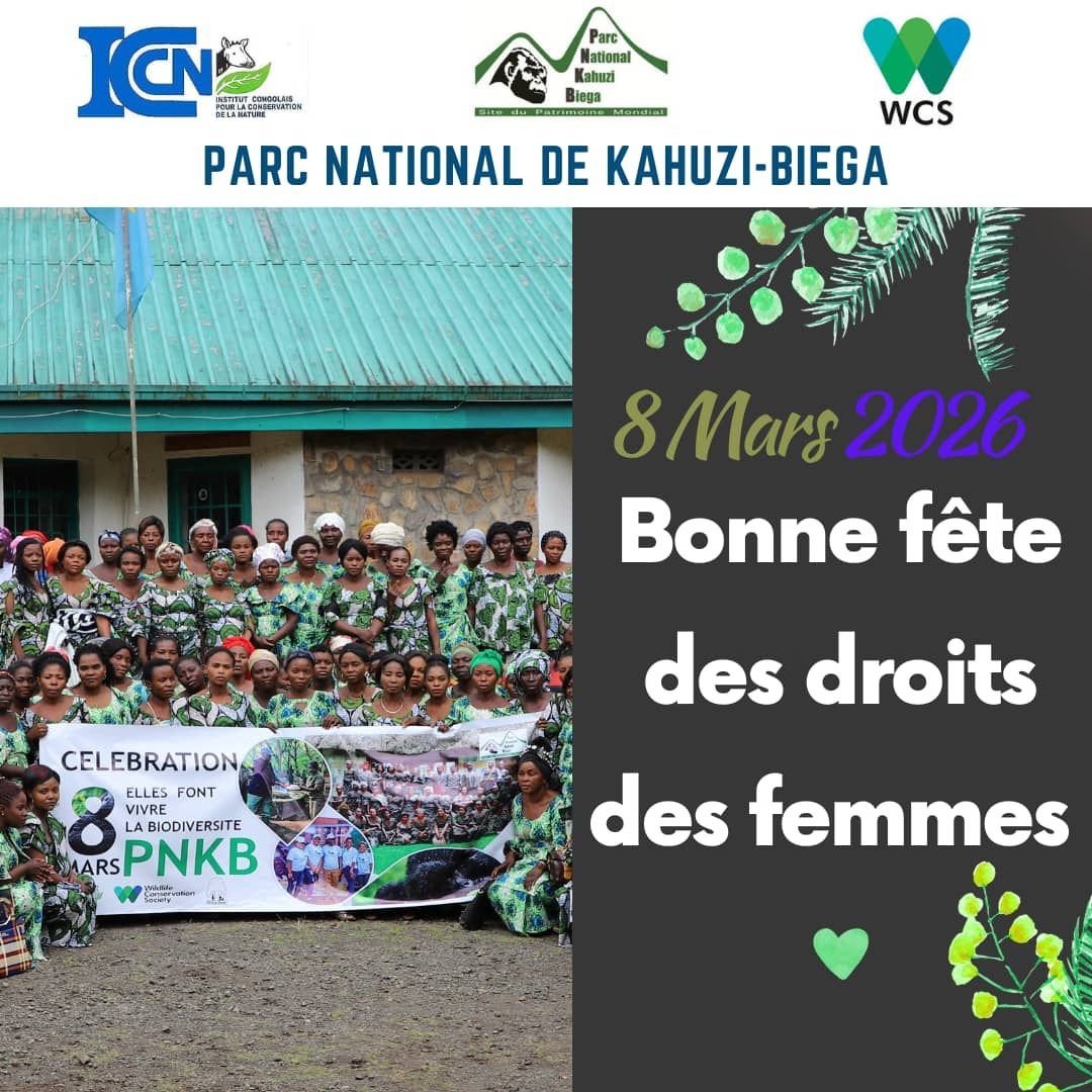 youtu.be/MNy0MG_iy0Y