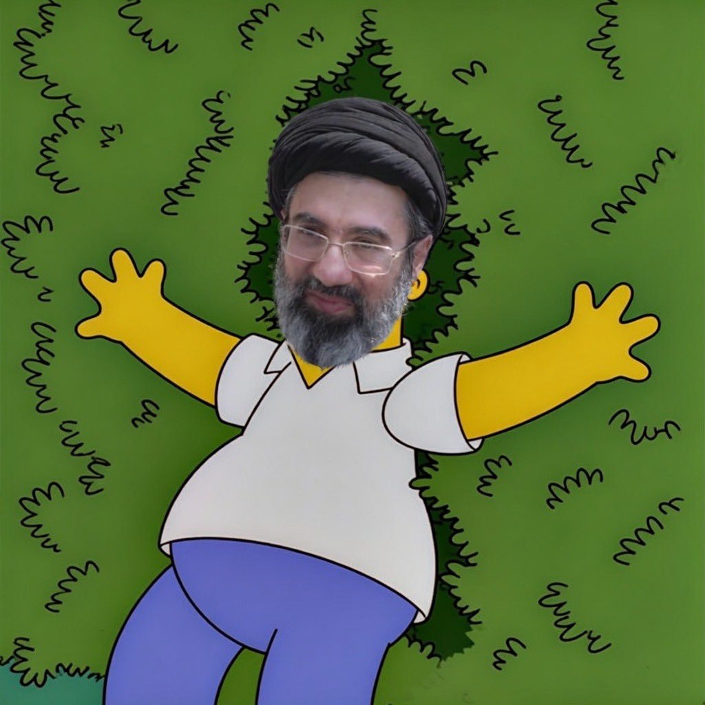 Fuzzy Chimp 🇺🇸🍌 tweet media