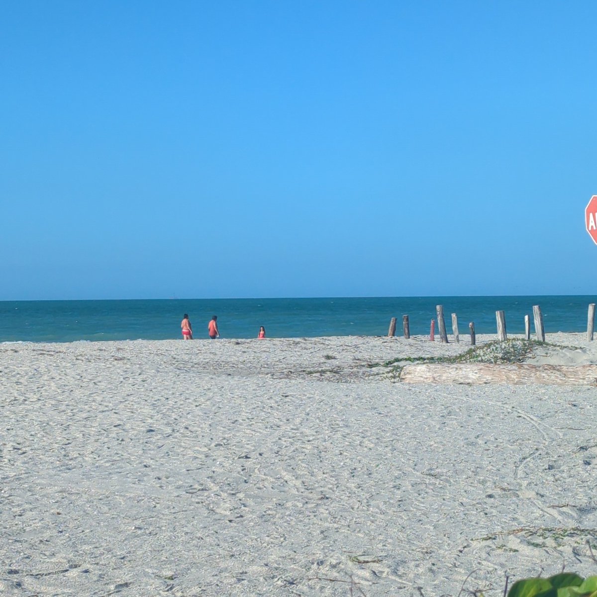 Hendrix Single tweet media