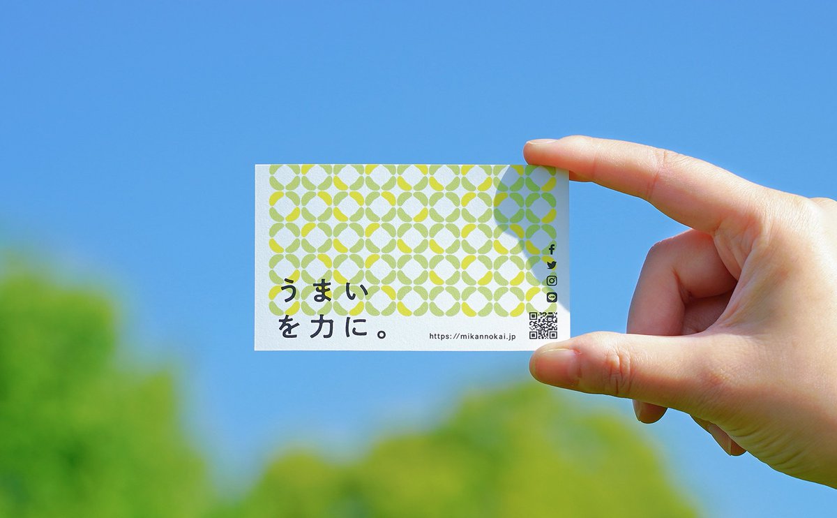 fodesign_jp's tweet photo. 代替わりを機に5年リブランディング計画👩‍💻🍊

和歌山の有田みかんの卸売企業様の事例です。業界内での評価が芳しくなかった状況を鑑み若手社長が立て直しを実行。

ロゴ、会社案内、名刺、リーフレット、ポスター、パッケージ類、ECショップ、SNSなどまで、和歌山と埼玉で連携しながら取り組みました。 https://t.co/e6ENpgrSga