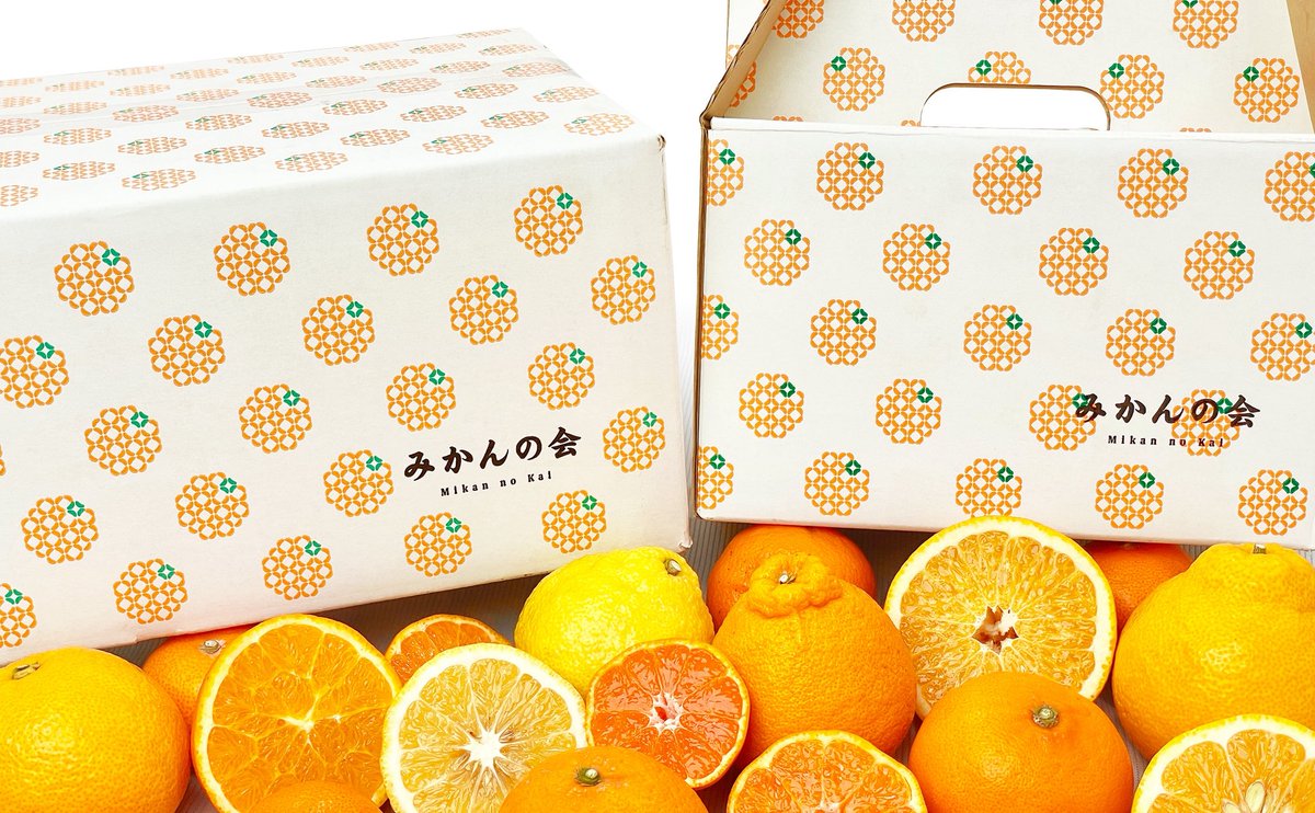 fodesign_jp's tweet photo. 代替わりを機に5年リブランディング計画👩‍💻🍊

和歌山の有田みかんの卸売企業様の事例です。業界内での評価が芳しくなかった状況を鑑み若手社長が立て直しを実行。

ロゴ、会社案内、名刺、リーフレット、ポスター、パッケージ類、ECショップ、SNSなどまで、和歌山と埼玉で連携しながら取り組みました。 https://t.co/e6ENpgrSga