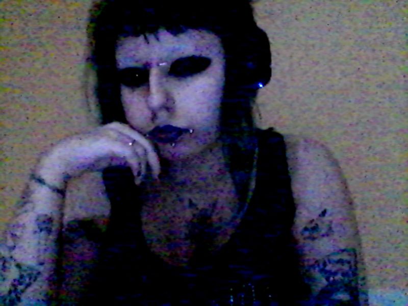 mephisto 🦎 tweet media