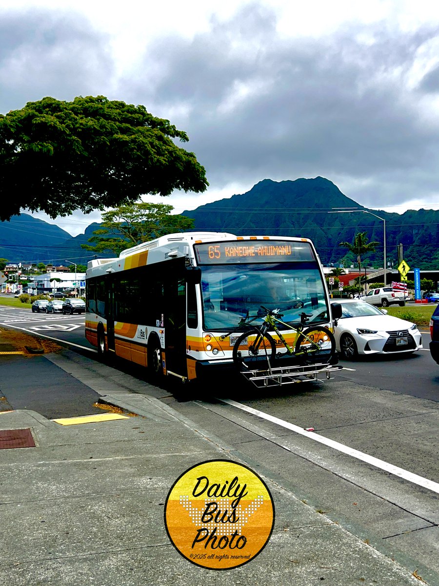DailyBusPhoto's tweet photo. Happy International Women’s Day!

TheBus Route 65 - ʻAhuimanu (Unit 209) approaching stop 1475 outside of the Windward City Shopping Center.

#Photograghy #PublicTransit #TheBus #HOLOWithUs #Transit #Bus #BusSpotting #NovaBus #LFS #Hawaii #Honolulu #Oahu #WomensDay https://t.co/ln3rD4F0Ym