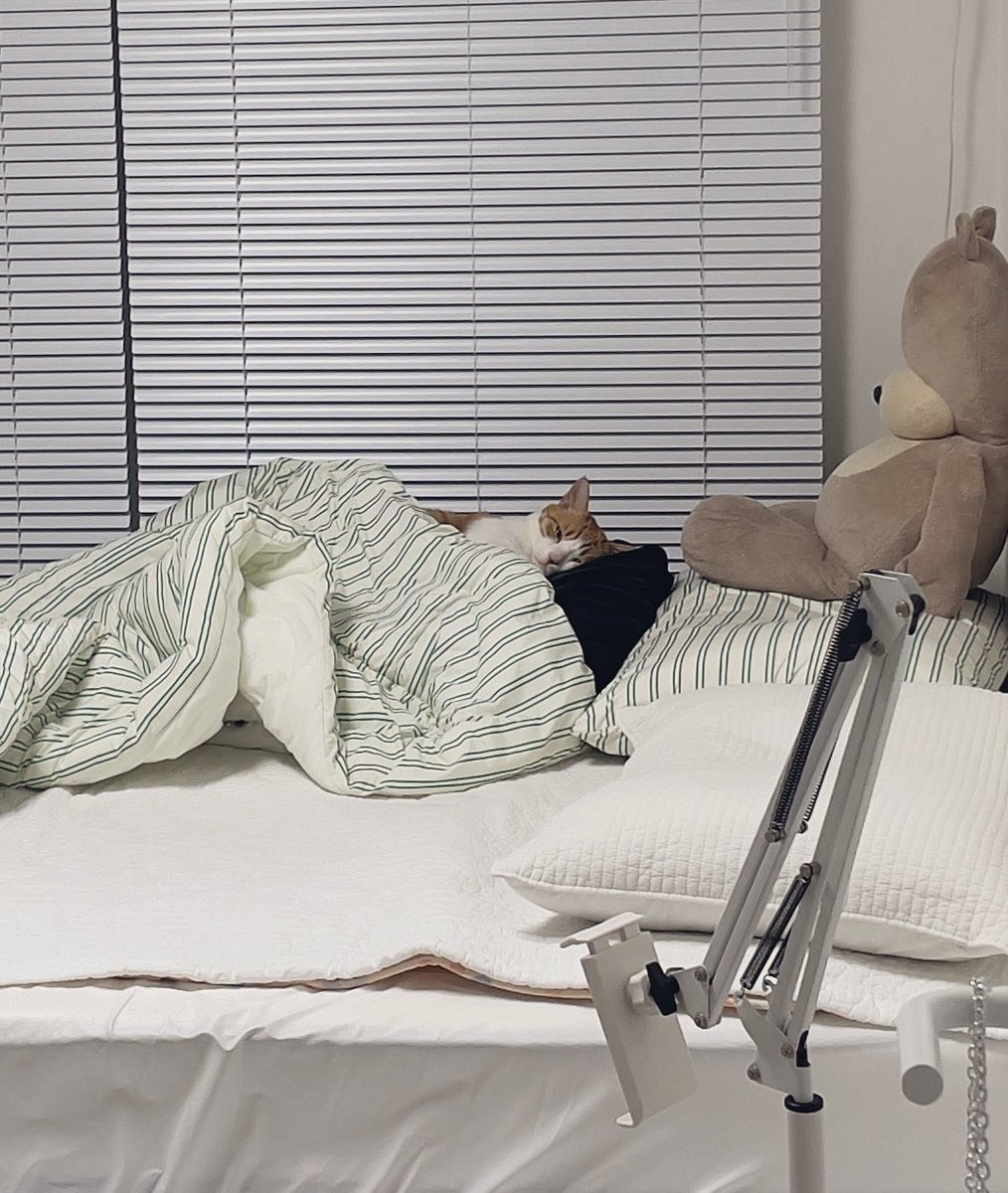 어 출근하니？                              많이벌어와..