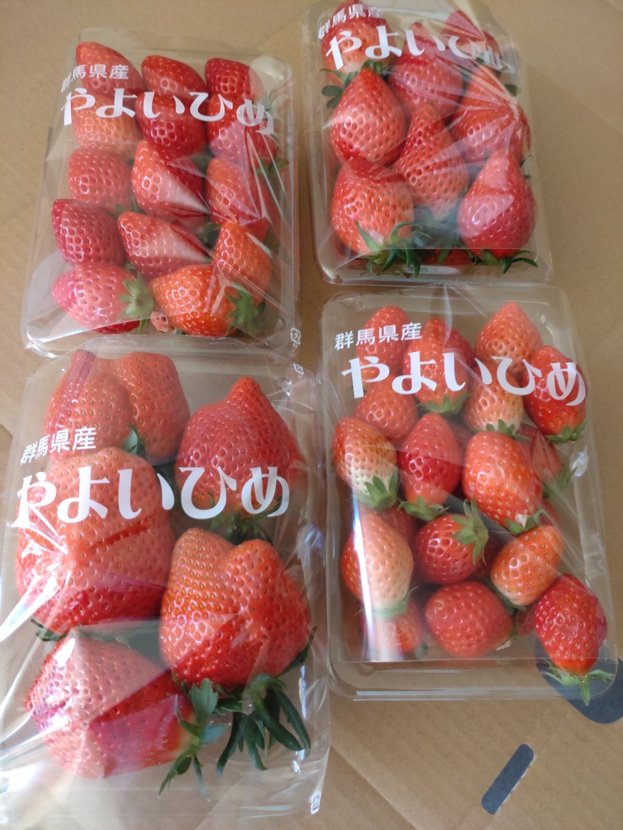 樋口園芸【いちご・生産・直売・全国発送】 tweet media