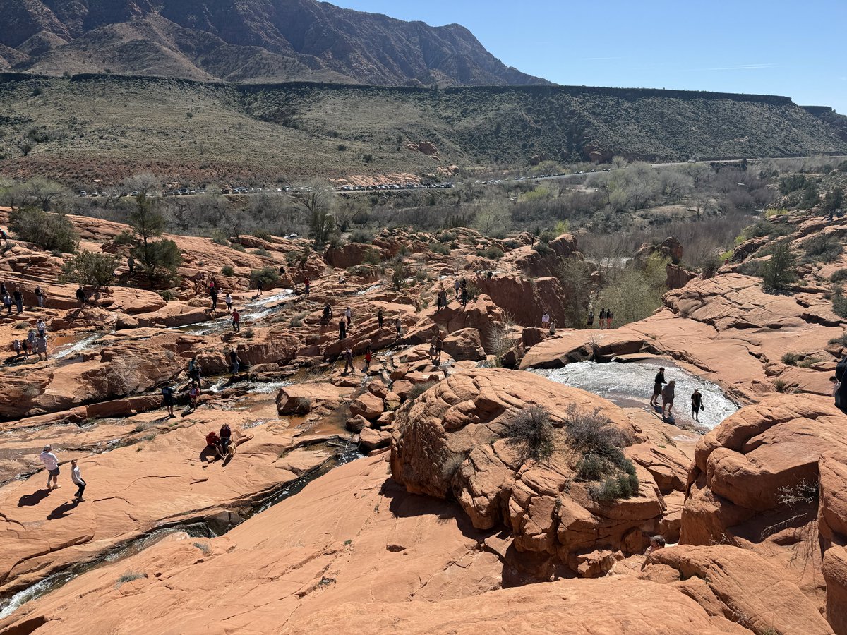 the eliminator tweet media