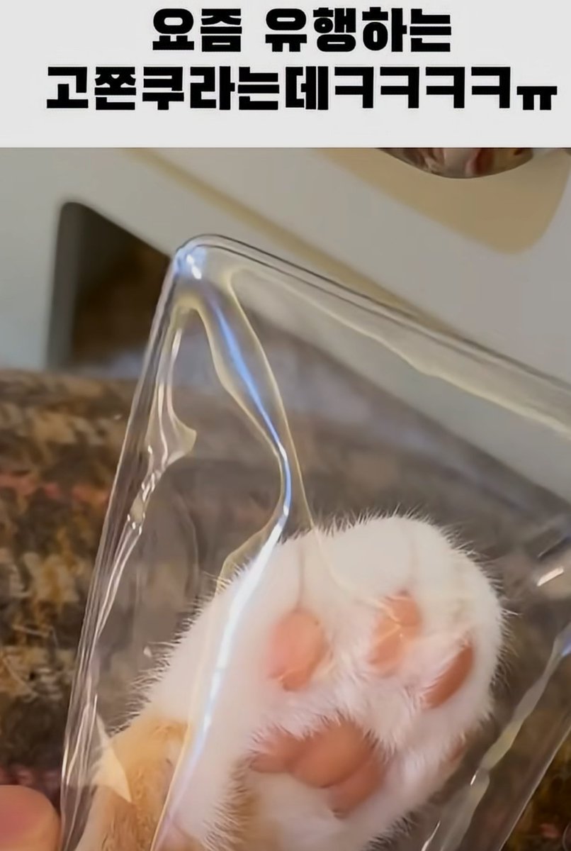 굿모닝 🌞
즐거운 월요일입니다!!

월요팅 하세요 ㅎㅎ