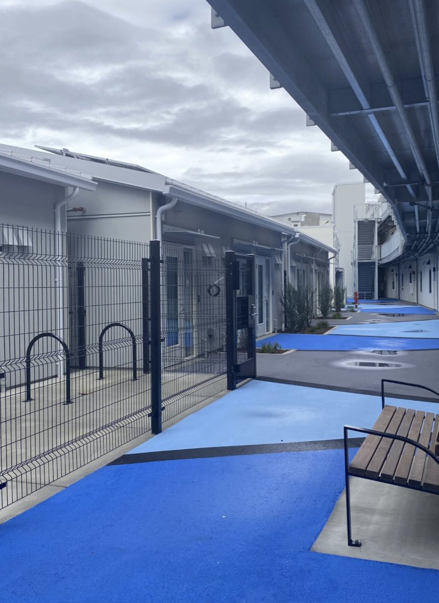 ababykitty tweet media