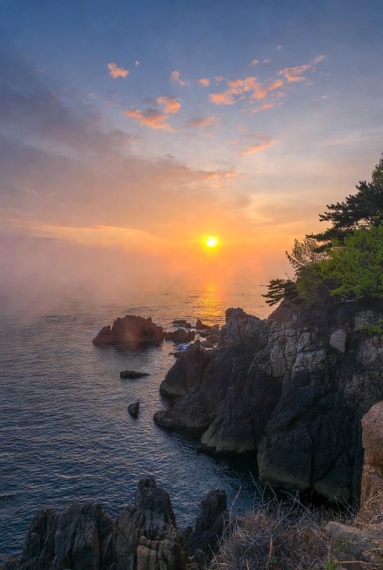 월요병은 게으름이 아니라
주말의 자유에서 다시 책임으로 돌아오는
마음의 관성일지도 모릅니다

그래서 월요일은 거창하게 시작하지 않으셔도 됩니다
커피 한 잔
햇빛 한 번
작은 일 하나

그렇게 천천히 엔진만 걸어도
이번 주는 이미 좋은 출발입니다

오늘 하루도 무사히 지나가시길 바랍니다