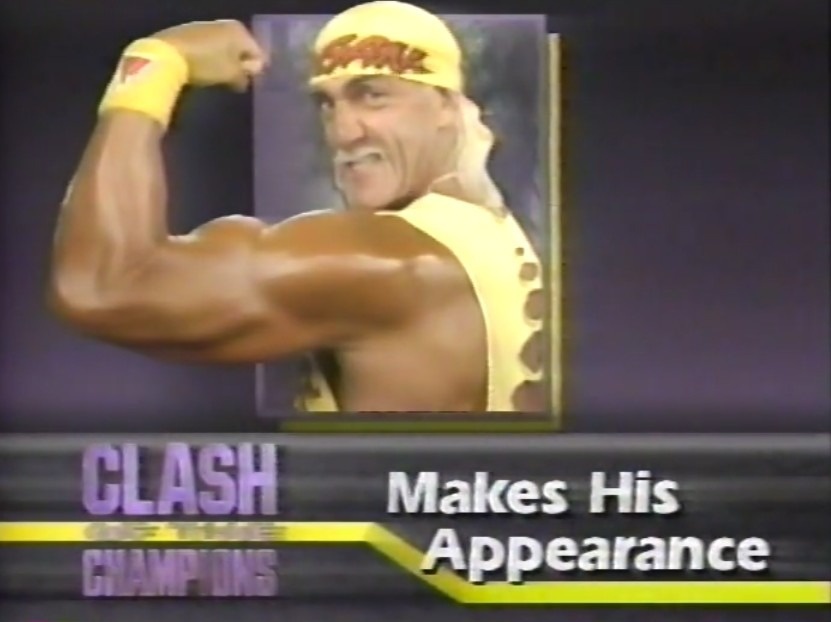 Booking The Territory 🎙 tweet media