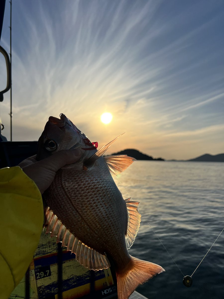 🐟つりばか3号　瀬戸内タイラバYouTuber tweet media