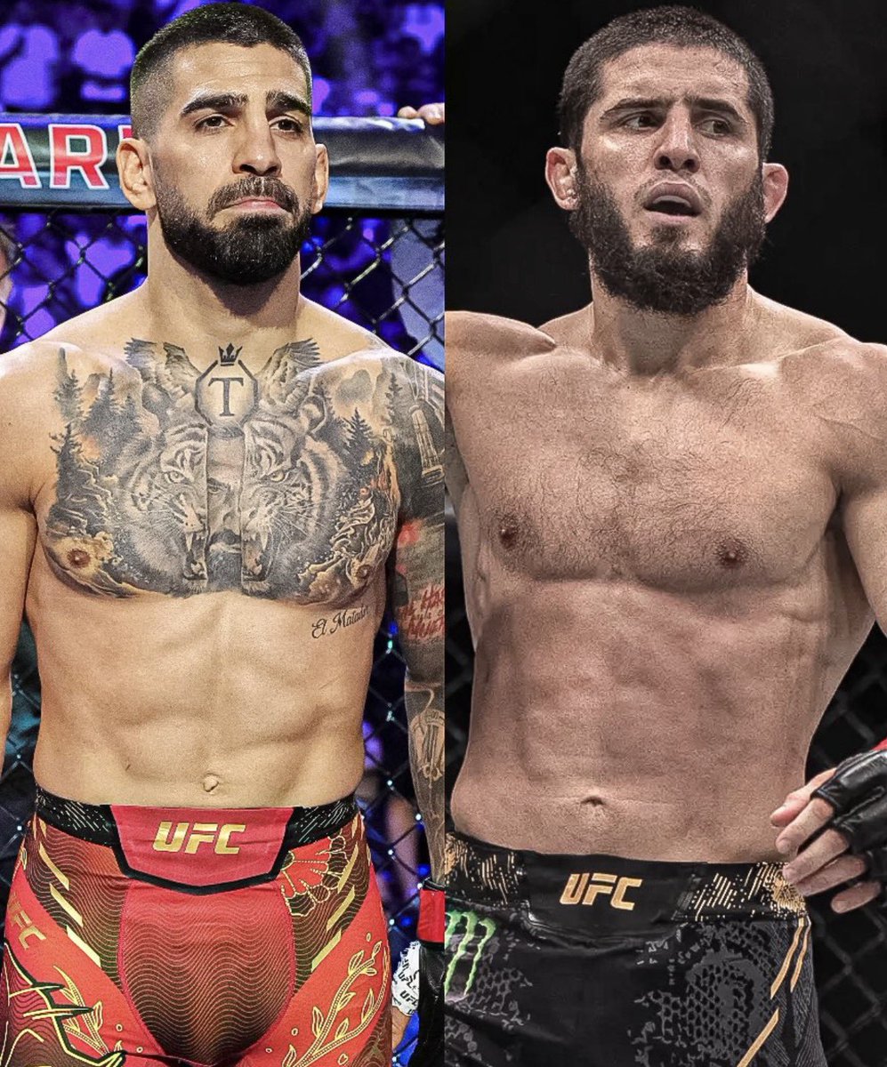 Chicken King MMA tweet media