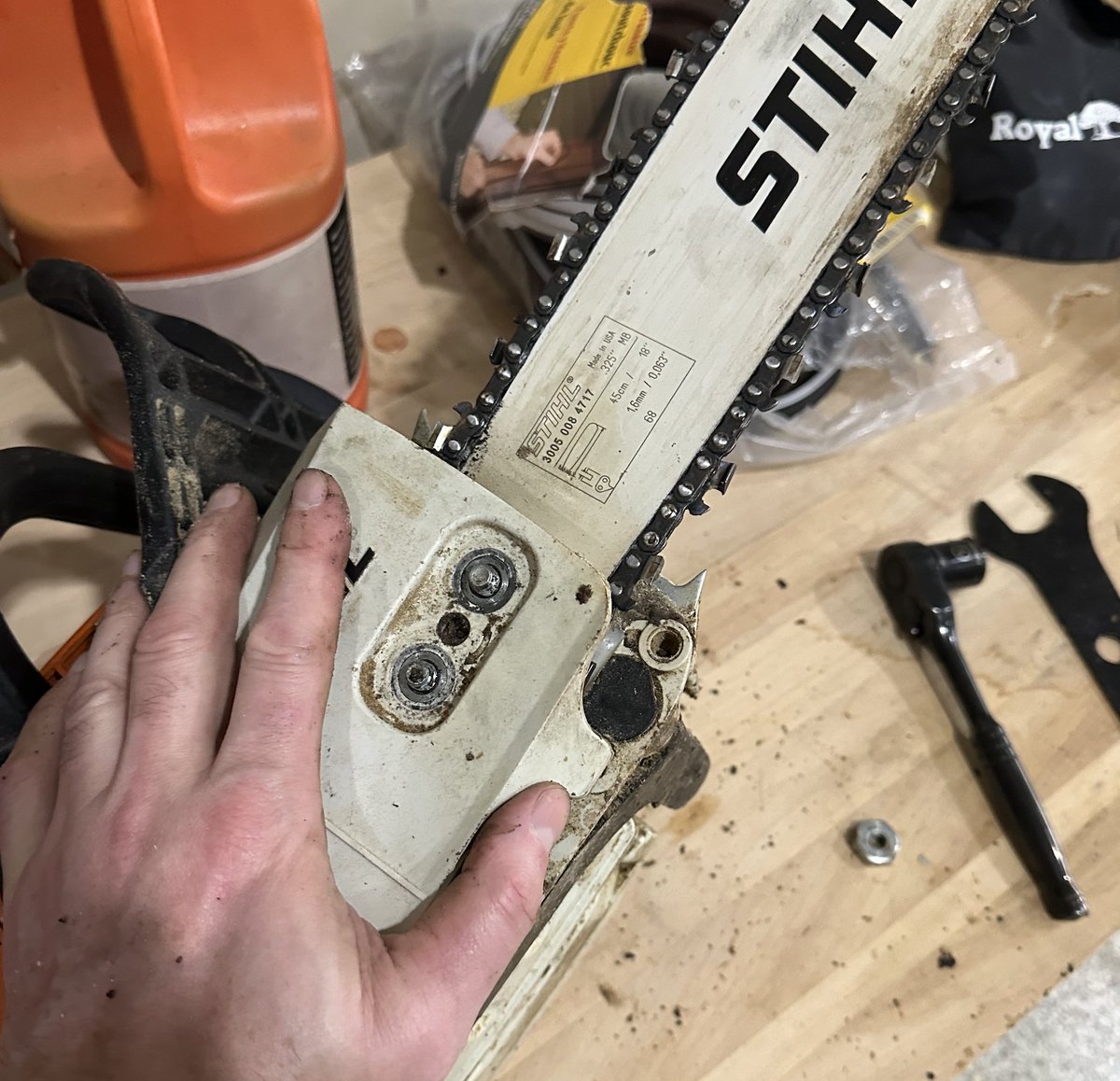 Shannon Terry tweet media