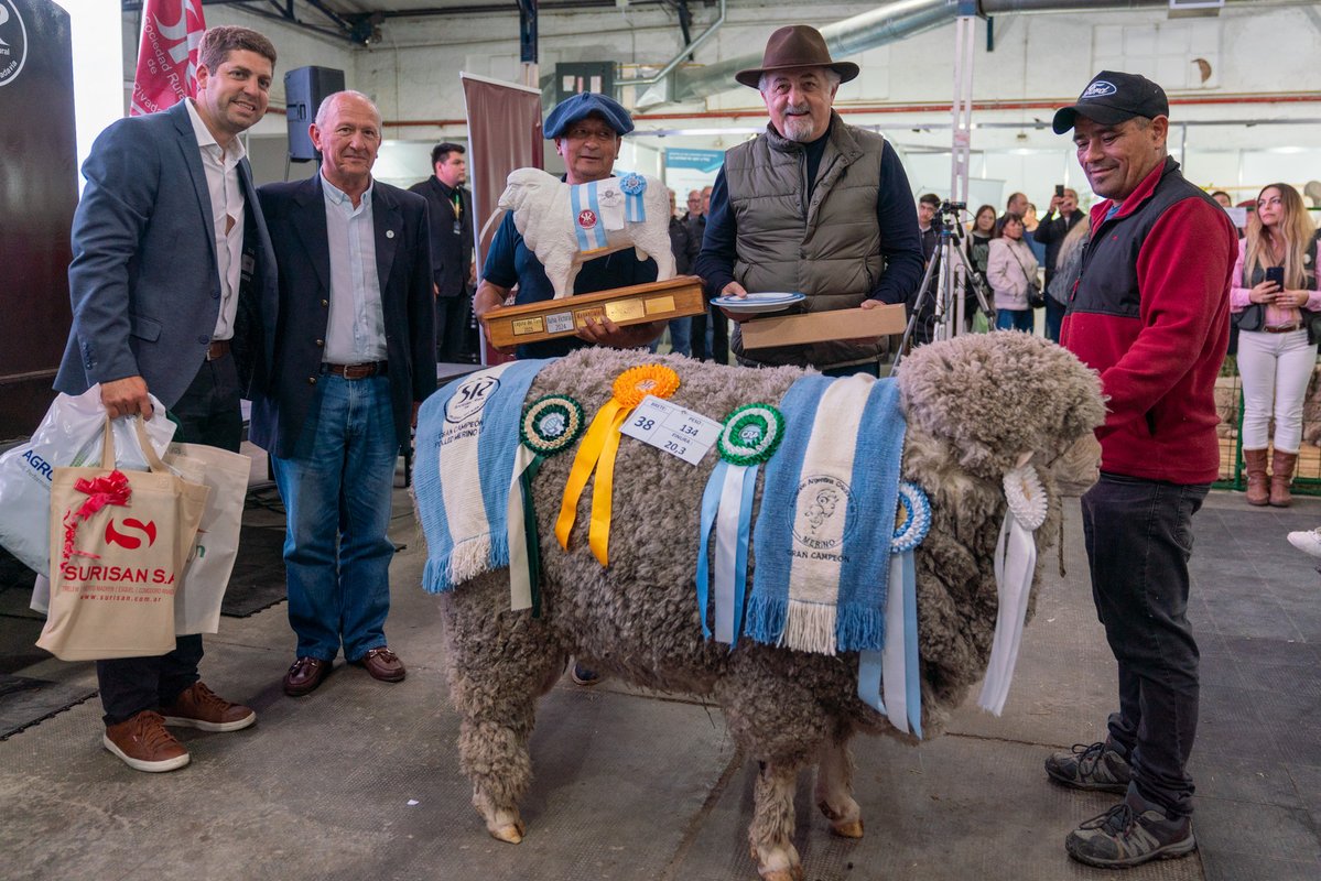 Othar Macharashvili 🤠 tweet media