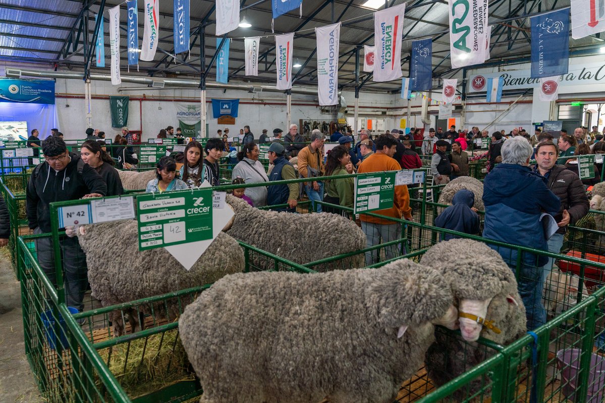 Othar Macharashvili 🤠 tweet media