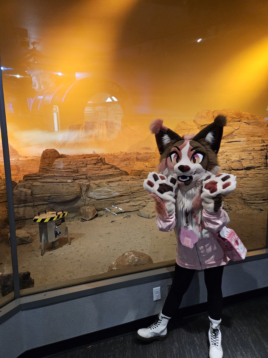 beetledreams tweet media