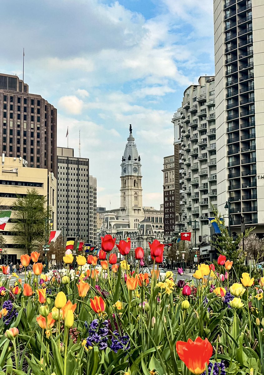 Emily Cooper tweet media