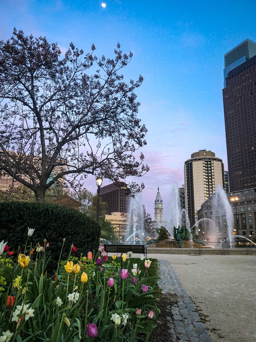 Emily Cooper tweet media