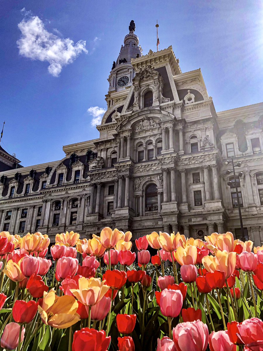 Emily Cooper tweet media